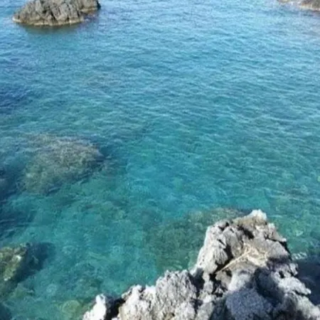 Raffaellina * Santa Maria Del Cedro
